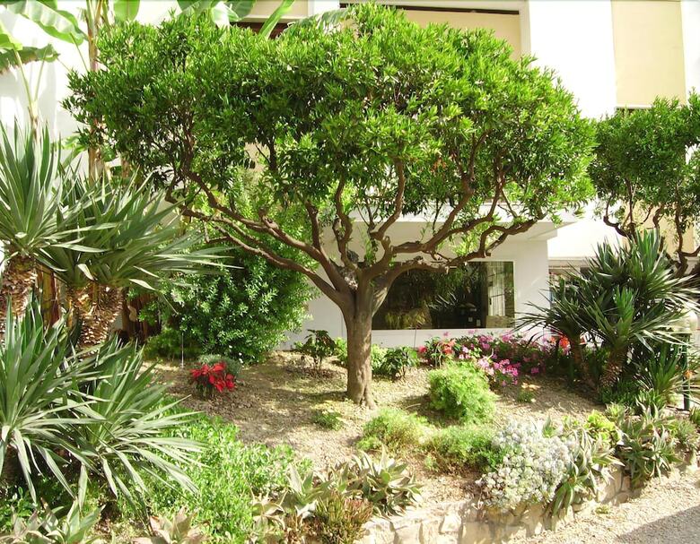 Apartamento Residence La Carruba