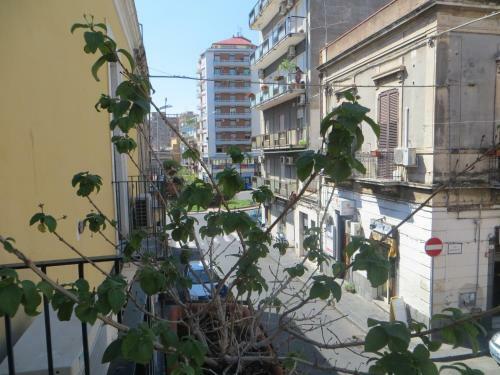 Bed & Breakfast Al Mare In Citt�