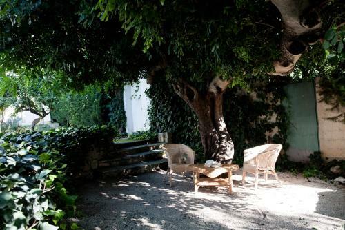 Agroturismo Villa Aurea Bed And Breakfast
