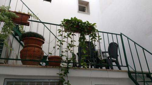 Armonia Salentina