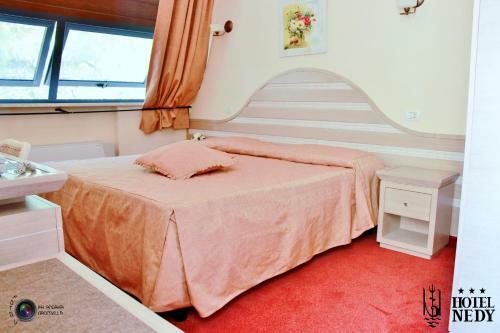 Hotel Nedy