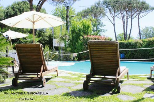 Hotel Nedy
