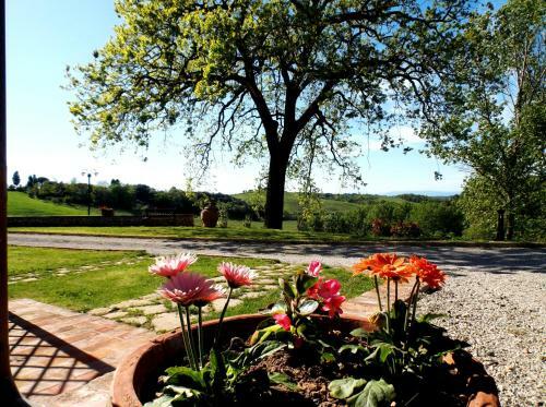 Agroturismo Agriturismo Maramaldo