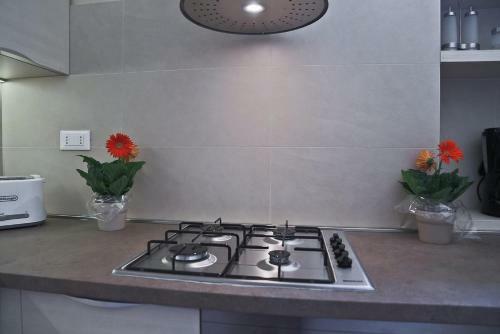 Apartments Florence - Alfani