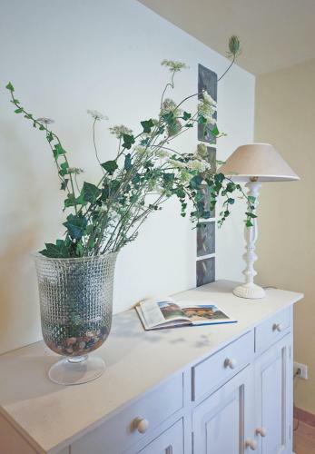Apartments Florence - Alfani