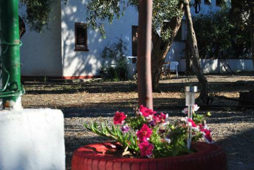 Camping B&B Gioiosa
