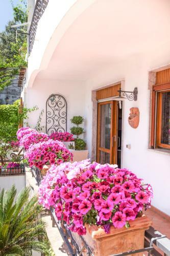 Magnolia House