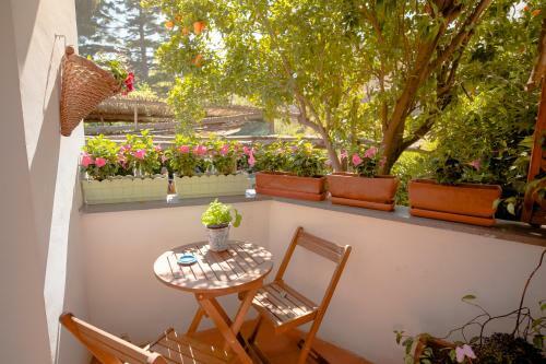 Mim� B&B