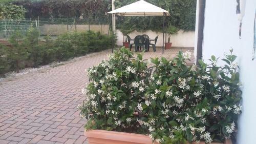Apartamento La Rosa Del Garda