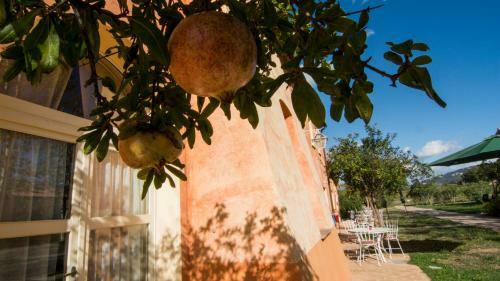 Agroturismo La Beccanina