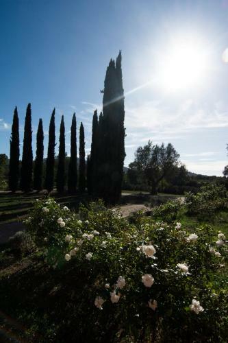 Agroturismo La Beccanina