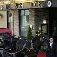 Bush Hotel