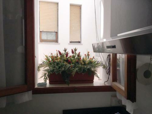 Apartamento Casa Nori