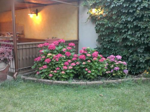 Apartamento Casa Vacanze Villa Doria