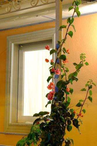 Apartamento Casa Vacanze Villa Doria