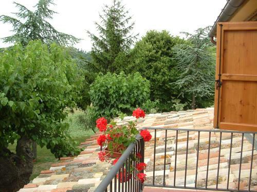 Agroturismo Agriturismo Il Bacucco
