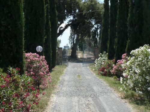 Agroturismo La Sassetta