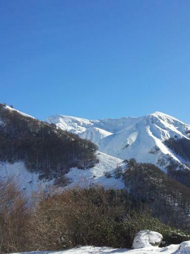 Hostal Rifugio Del Pettirosso