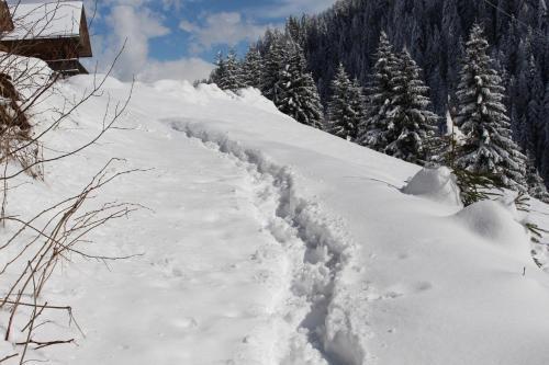 Apartamento Bad Bergfallerhof