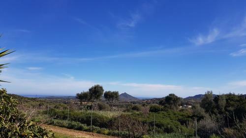 Agroturismo Agriturismo Sa Mandria