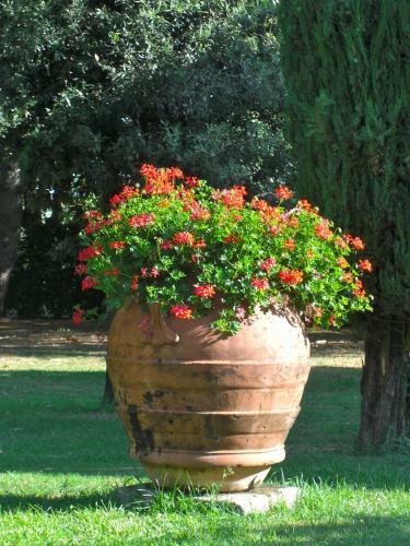 Agroturismo Borgo Ai Lecci