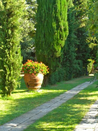 Agroturismo Borgo Ai Lecci