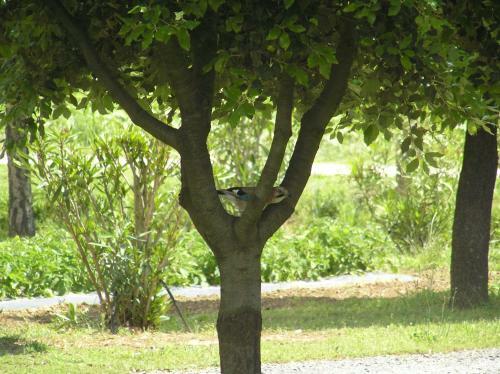 Agroturismo Agriturismo Bocci