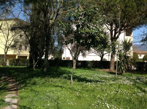 Bed & Breakfast Cisanello House