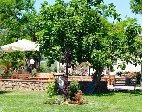 Agroturismo Agriturismo Il Vecchio Imposto