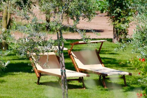 Agroturismo Agriturismo Il Vecchio Imposto