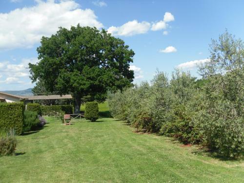Apartamento Agriturismo Il Giardino