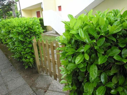Apartamento Appartamenti Azzurro