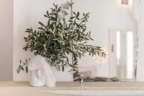 La Signura Bio B&B