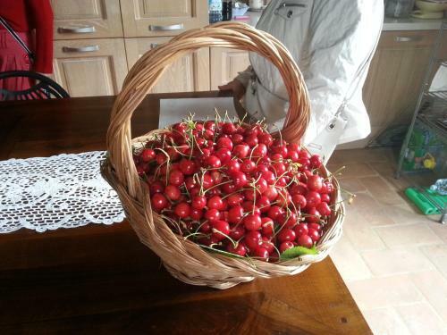 Agroturismo B&B Campogrande