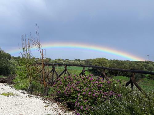 Agroturismo Agriturismo Su Barcu