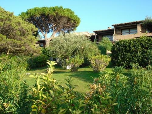 Aparthotel Punta Marana-pedra Concada