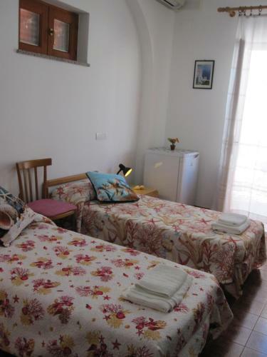 Hostal Villa Rosa