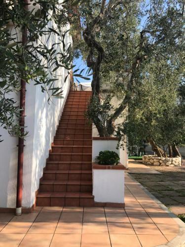 Hostal Apollo