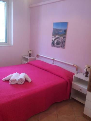 Hostal Apollo