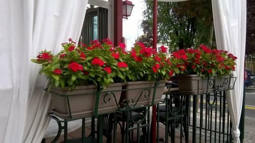 Hotel Villa Romana