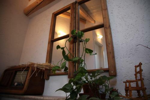 Apartamento Appartamenti Antica Dro