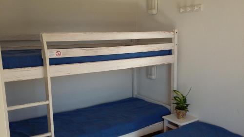 Aparthotel R�sidence Les Alcyons By Resid&co