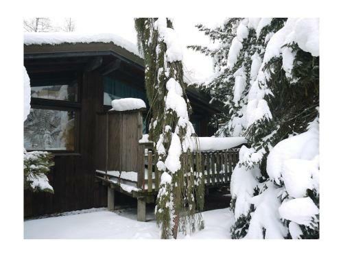 Apartment La Bresse