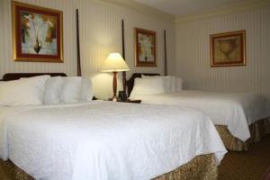 Hotel Hilton Jackson
