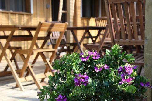 Bed & Breakfast L'oc�ane Chambres D'h�tes