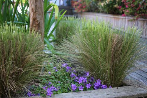 Bed & Breakfast L'oc�ane Chambres D'h�tes
