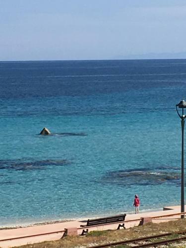 Apartamentos R�sidence L'amiral