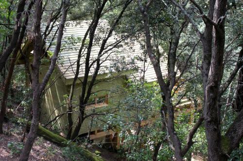 Hotel Les Cabanes Dans Les Bois
