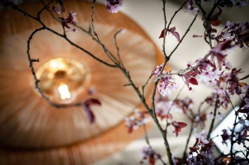 Hotel H�tel Restaurant Inter-h�tel Le Saint Georges