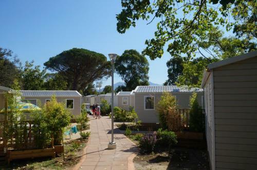 Camping International